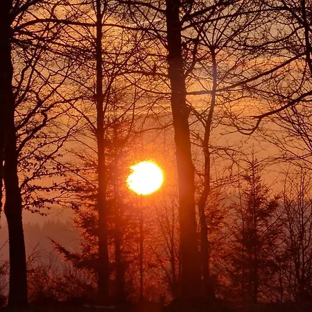 Отель Winterberg-hoheleye Винтерберг